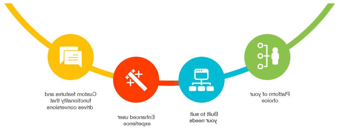 Custom 软件开发 Solutions